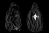 Tek parça Edward Newgate uzun hoodie siyah Mens Kapüşonlu Sweatshirt