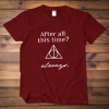 <p>Personalised Shirts Harry Potter T-Shirts</p>
