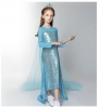 Frozen Princess Dress Girls Elsa Frozen Cosplay Costume for Kids