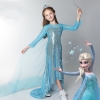 Frozen Princess Dress Girls Elsa Frozen Cosplay Costume for Kids