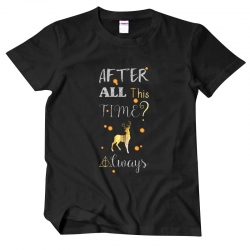 <p>Harry Potter Tee Hot Topic T-Shirt</p>
