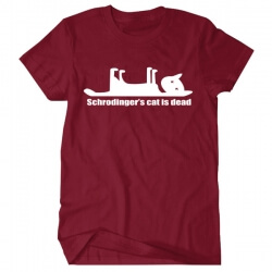 Big Bang Theory Tee Schrodinger's cat is dead T-shirt